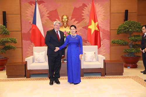 Việt Nam luôn coi trọng phát triển quan hệ hợp tác với Cộng hoà Séc